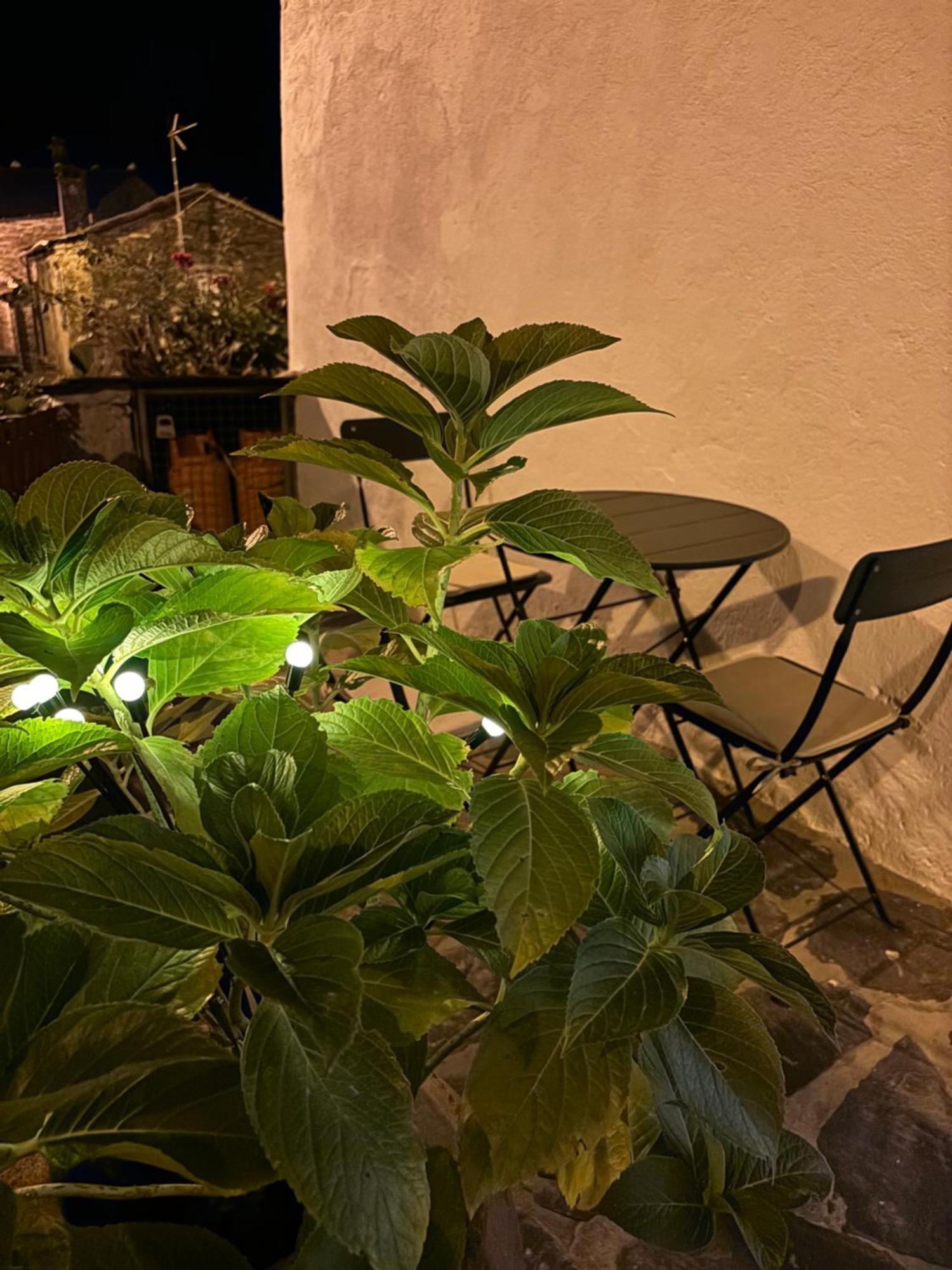 Encanto De Xisto Piodao Exterior foto